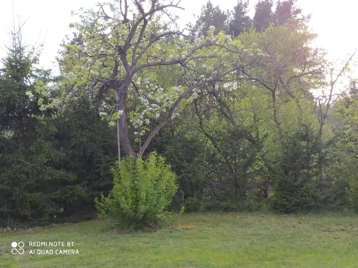 Dolistowka Apartamenty, Pole Namiotowe, Balia Z Jacuzzi, Ogrod Warzywny Dla Gosci, Plac Zabaw Dla Dzieci Goniadz Dış mekan fotoğraf