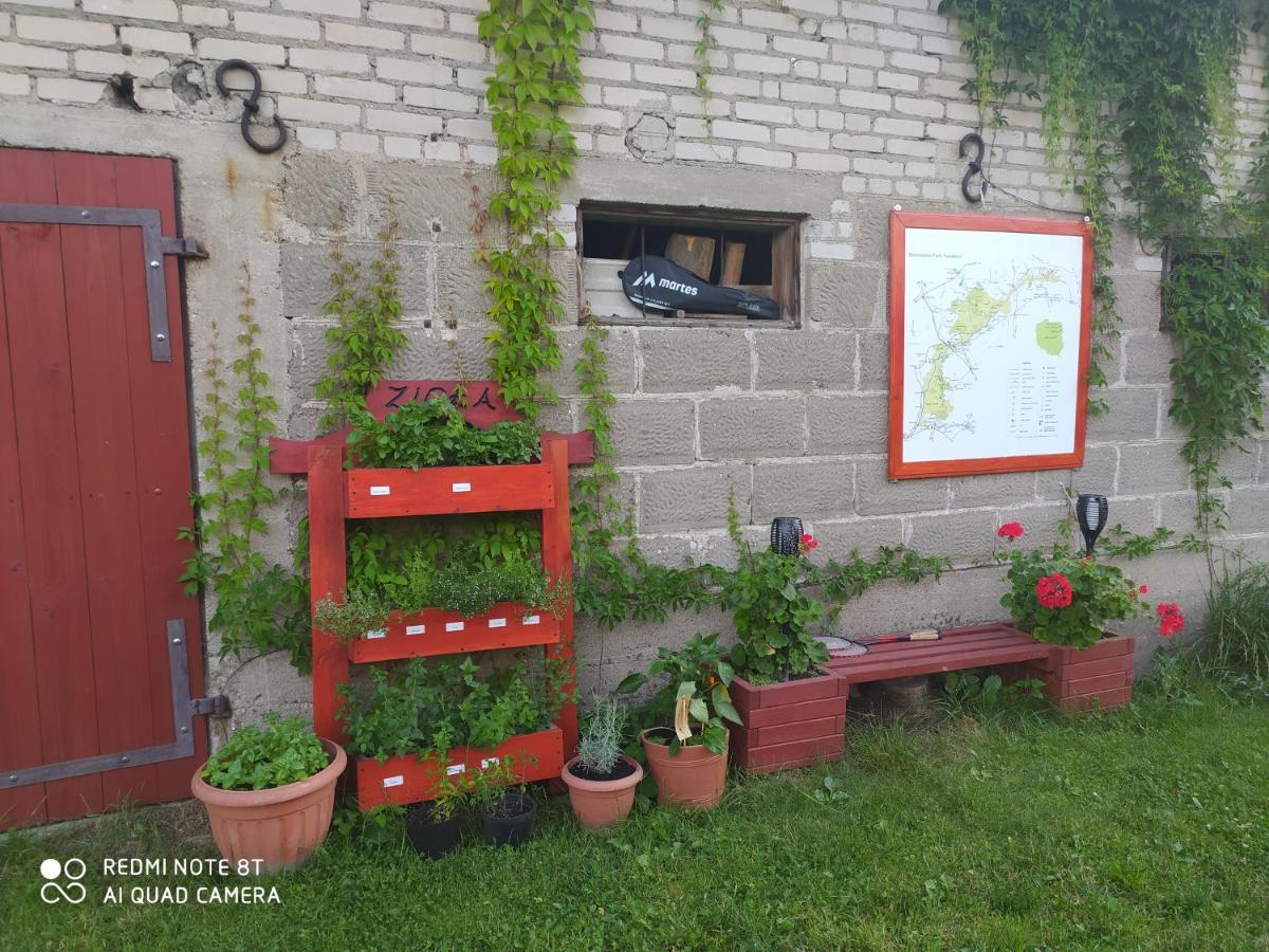 Dolistowka Apartamenty, Pole Namiotowe, Balia Z Jacuzzi, Ogrod Warzywny Dla Gosci, Plac Zabaw Dla Dzieci Goniadz Dış mekan fotoğraf